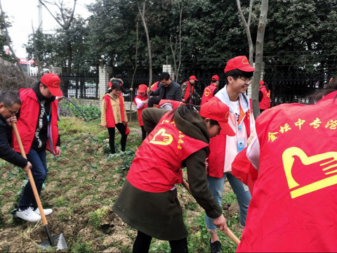 我校沧海志愿社开展校园植树系列活动